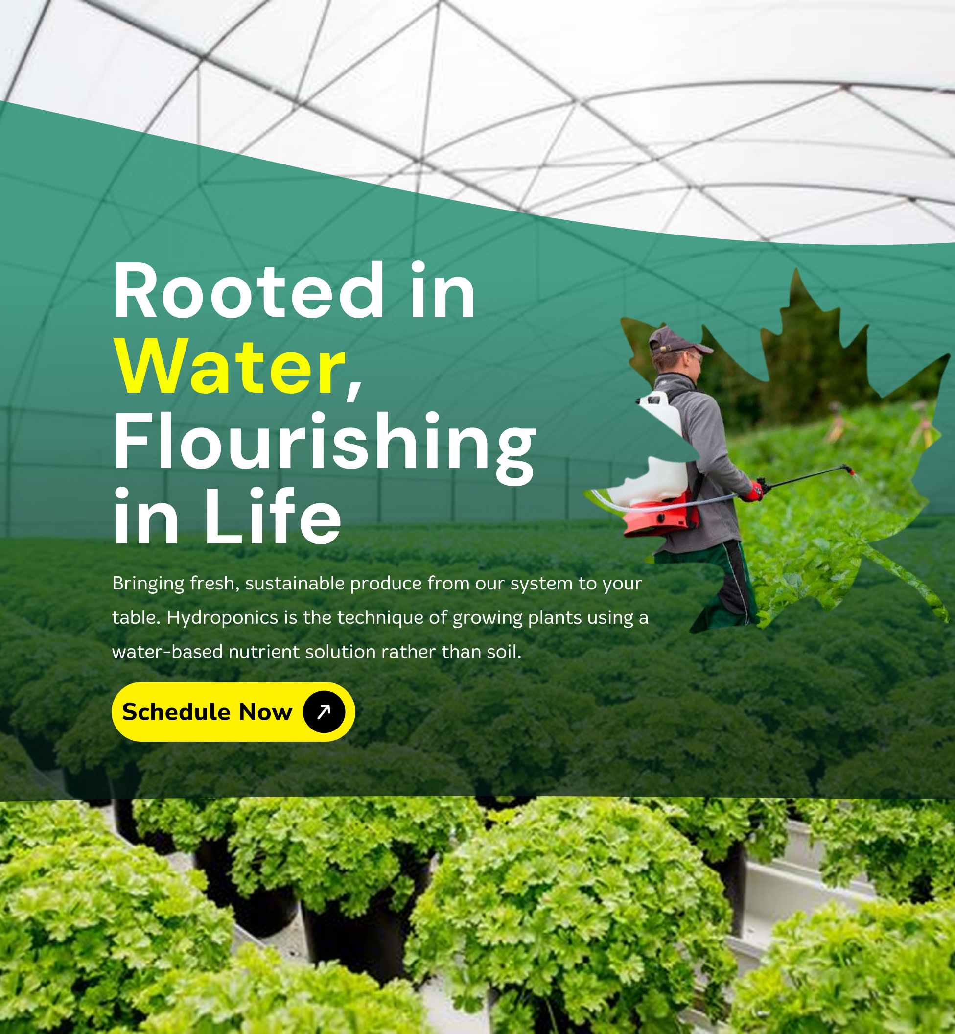 Frame 2147227340 (1)